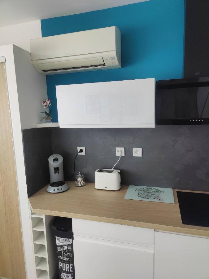 Studio Climatise 50 M.Du Port سان سيبريان المظهر الخارجي الصورة